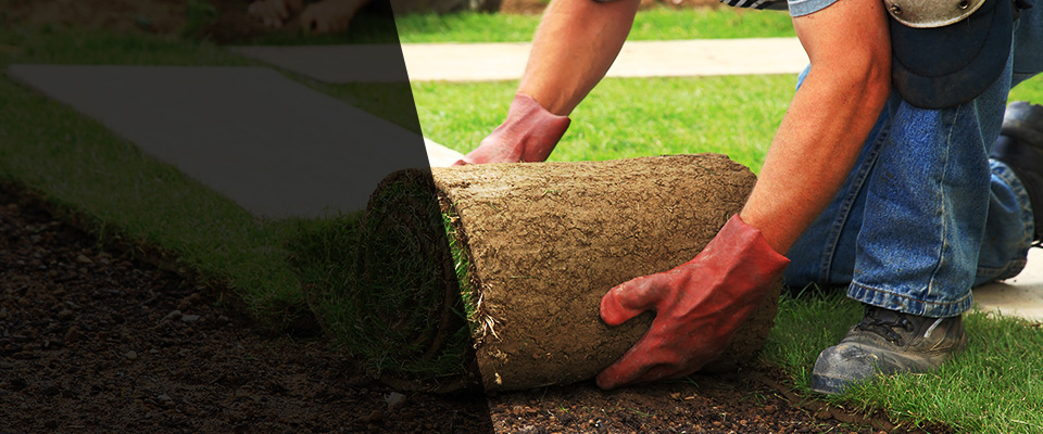 Elkton Landscapers